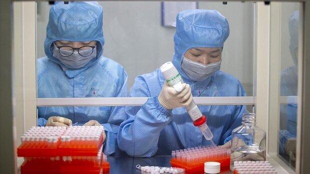 واکسن چینی کرونا واکنش ایمنی سریع به وجود می آورد