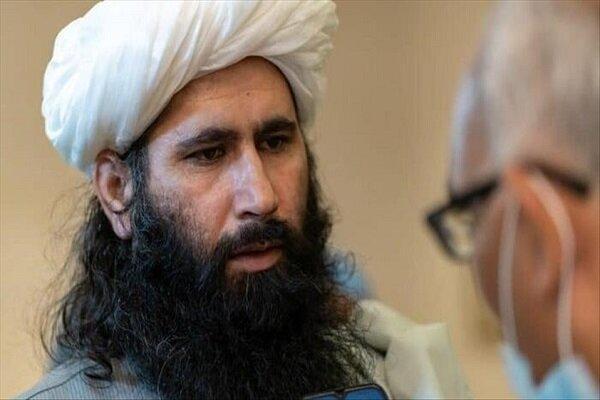طالبان ارائه پیشنهاد صلح به دولت افغانستان را تکذیب کرد
