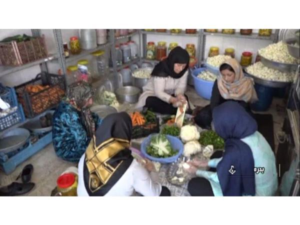 59 فقره پروانه مشاغل خانگی در ساری صادر شد