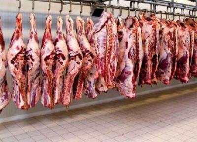 توزیع گوشت گوسفندی 142 هزار تومانی بدون محدودیت در کشور
