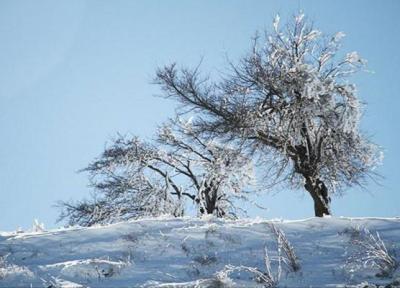 بارش برف در آذربایجان غربی و کندی تردد در بعضی محورها