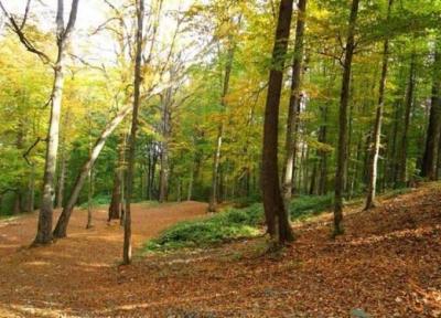 راهنمای گردشگران برای رفتن به پارک ملی گلستان